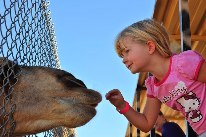 Out of Africa Wildlife Park Admission Ticket - Experience for Visitors