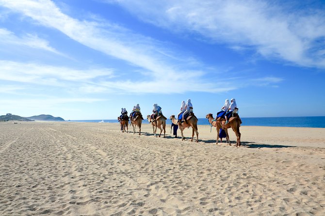 Outback Camel Ride - Traveler Restrictions and Recommendations