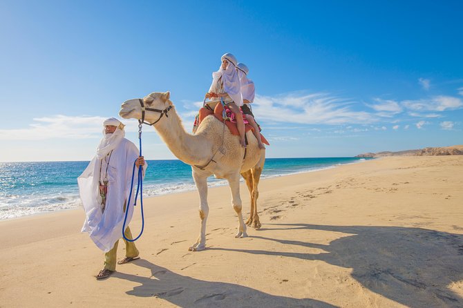 Outback Camel Ride - Camelback Exploration of Cabo San Lucas