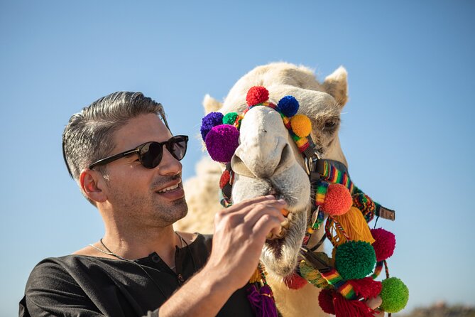 Outback Camel Ride - Guided Nature Walk and Tasting