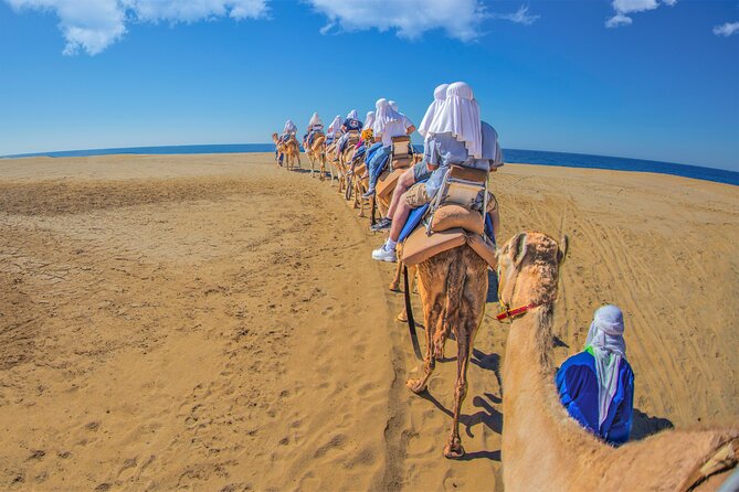 Outback Camel Ride - Memorable Photography Opportunities