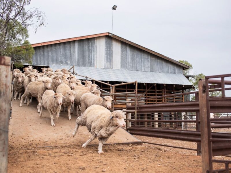 Outback Queensland: Longreach Storytelling Holiday - 3 Day - Accommodation and Meals