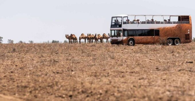Outback Queensland: Unleashing Longreach Holiday 6-days - Winton Discovery Day Itinerary