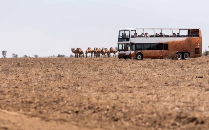 Outback Queensland: Unleashing Longreach Holiday 6-days - Australian Stockmans Hall of Fame