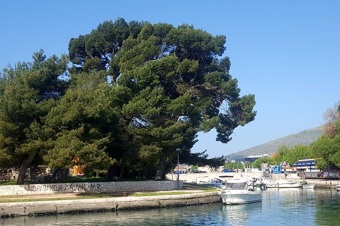 Outdoor Adventure in Marjan Hill in Split - Outdoor Activities on Marjan Hill