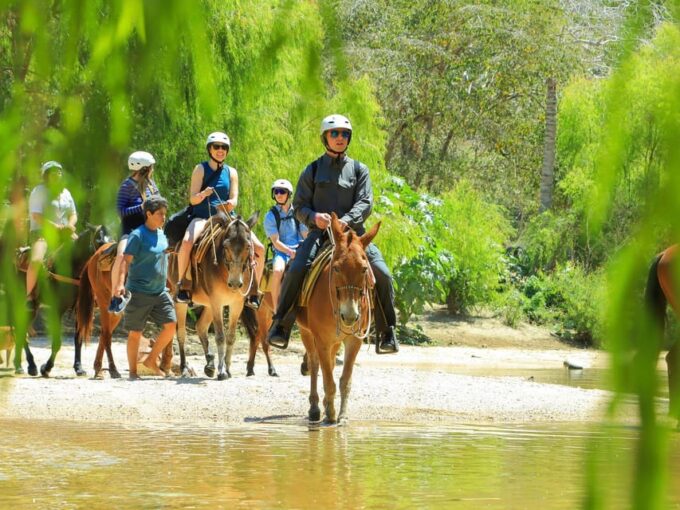 Outdoor Adventure: the #1 Outdoor Activity in Prto Vallarta - Scenic Speed Boat Ride
