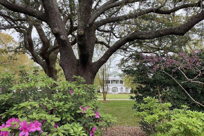 Outer Banks Film Locations Tour - Customizable Experience