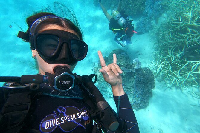 Outer Reef Scuba Diving Day Tour from Agnes Water 1770 - Key Points