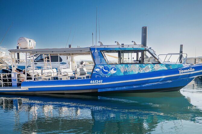 Outer Reef Scuba Diving Day Tour from Agnes Water 1770 - The Itinerary: What to Expect on Your Reef Day