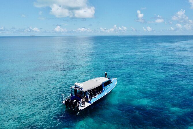Outer Reef Scuba Diving Day Tour from Agnes Water 1770 - Value and Cost Analysis