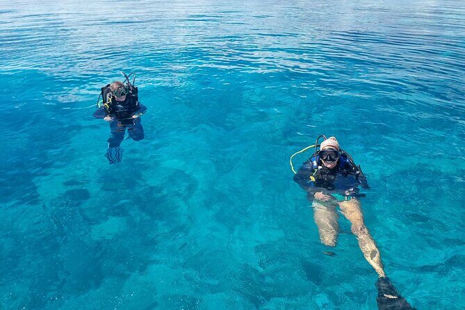 Outer Reef Scuba Diving Day Tour from Agnes Water 1770 - The Sum Up: Who Will Love This Tour?
