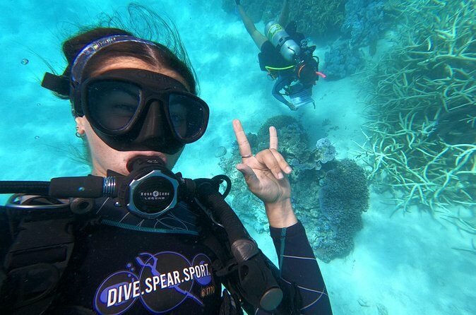 Outer Reef Scuba Diving Day Tour from Agnes Water 1770 - FAQ