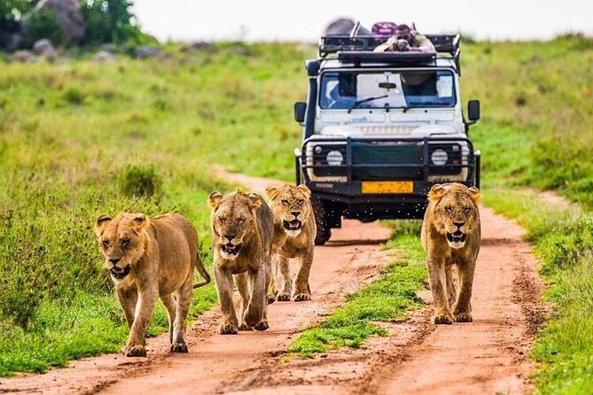Outstanding Day Trip to Tarangire National Park - Pricing Details