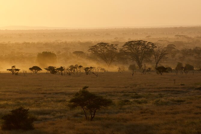 Outstanding Day Trip to Tarangire National Park - Exclusions to Consider