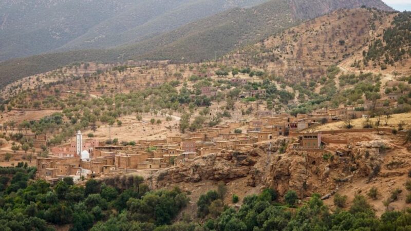 Ouzoud Falls Day Trip From Marrakech - Itinerary and Activities