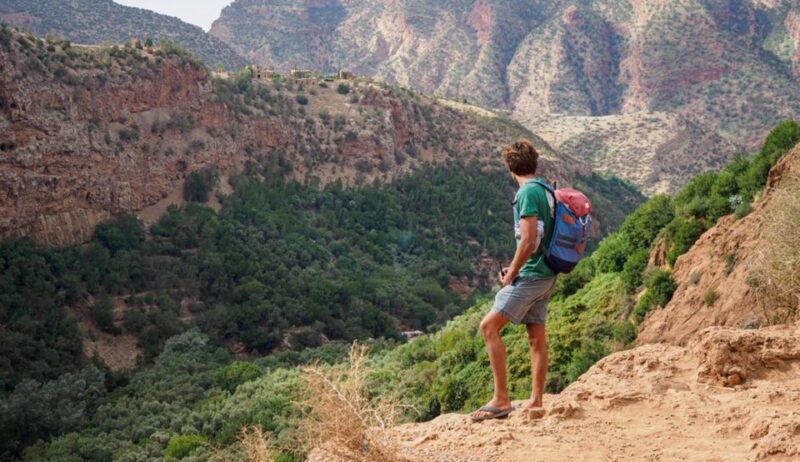 Ouzoud Falls Day Trip From Marrakech - Included Services