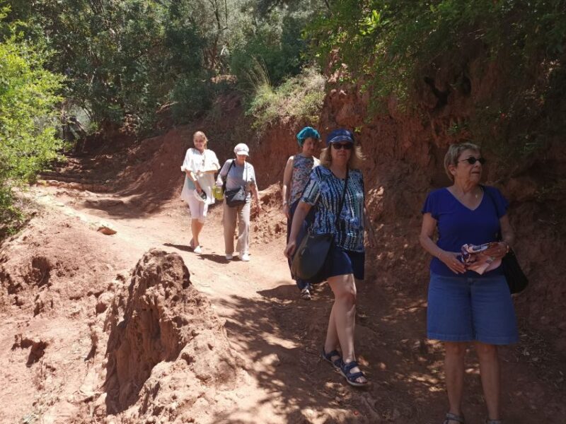 Ouzoud Waterfalls Day Trip - Journey to the Waterfalls