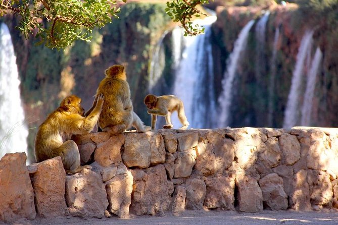 Ouzoud Waterfalls From Marrakech Day Trip - Pricing Details