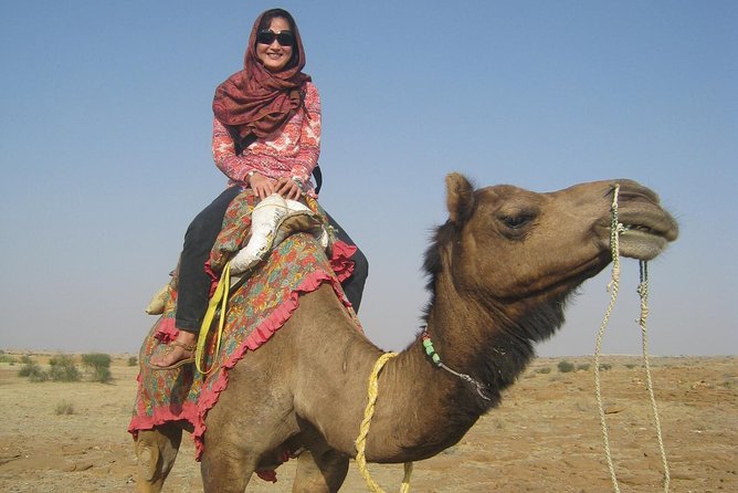 Over Night Desert Adventure Camel Safari - Meeting Point and Pickup