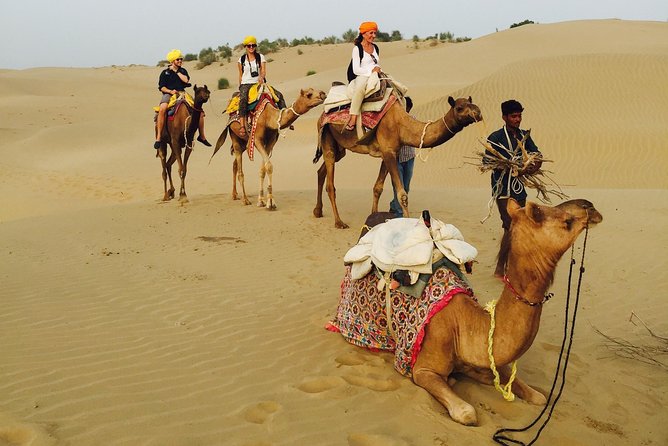 Over Night Desert Adventure Camel Safari - Operating Hours and Availability