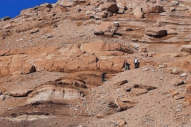 Overday Safari at White Desert and Black Desert - Key Points