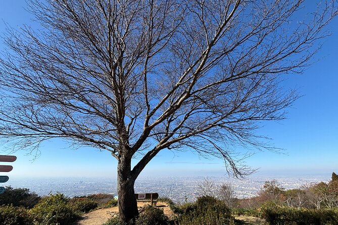 Overlooking the Magnificent View of Osaka - Key Points