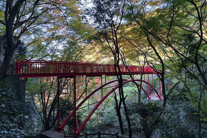 Overlooking the Magnificent View of Osaka - Accessibility and Health Considerations