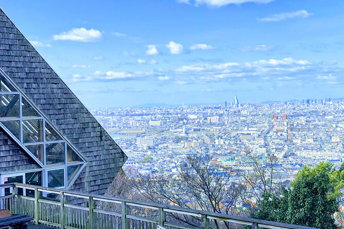 Overlooking the Magnificent View of Osaka - Physical Fitness Requirements