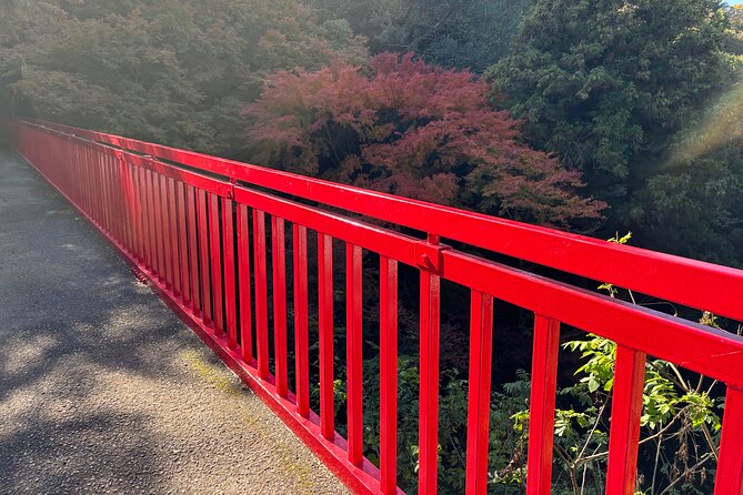 Overlooking the Magnificent View of Osaka - Booking and Confirmation Details