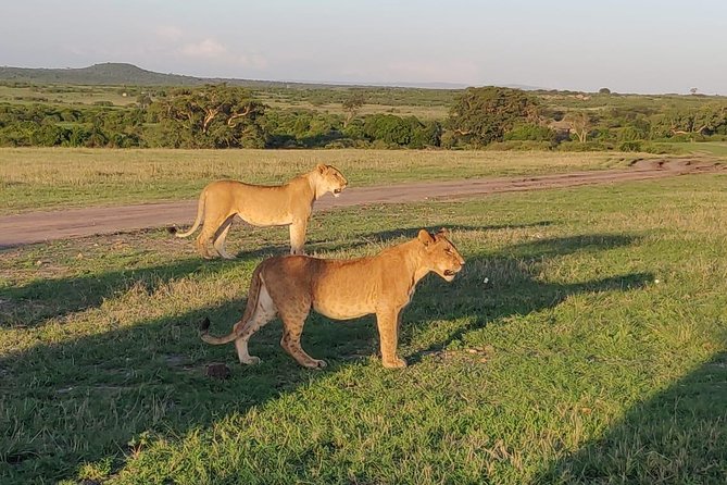 Overnight Amboseli National Park Safari From Nairobi - Meeting and Pickup Locations