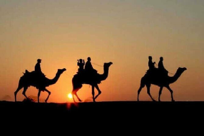Overnight Camel Safari - Diving Into the Desert Experience
