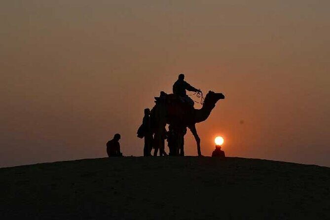 Overnight Camel Safari - What Makes This Tour Stand Out?