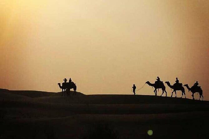 Overnight Camel Safari - FAQ