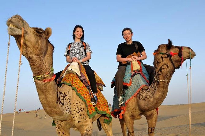 Overnight Camel Safari - Key Points