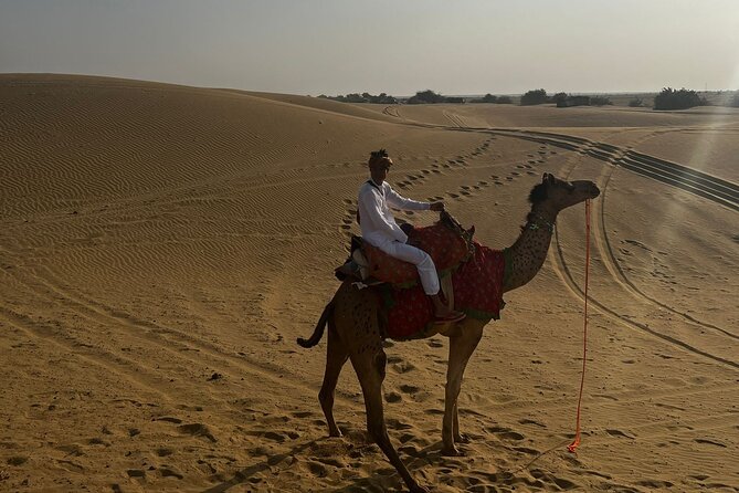 Overnight Camel Safari - Meeting and Pickup Details