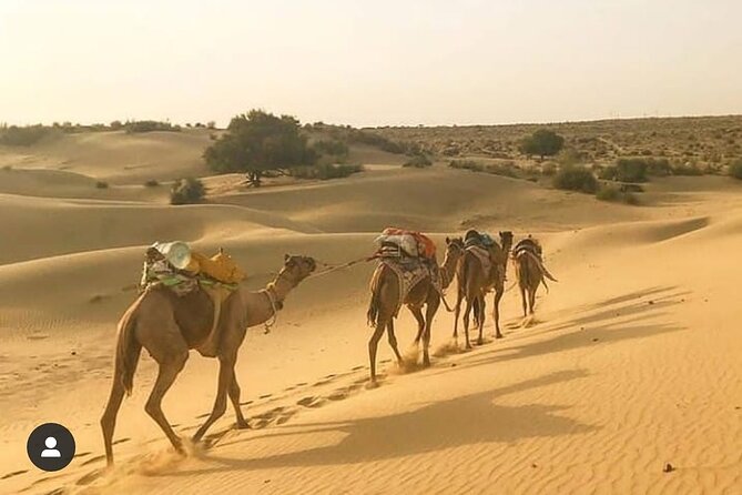 Overnight Camel Safari - Tour Accessibility Considerations