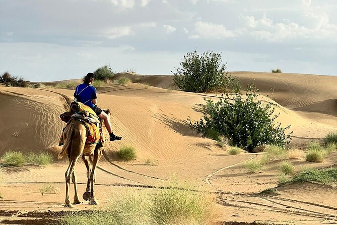 Overnight Camel Safari in Thar Desert - Cultural Highlights of the Thar Desert