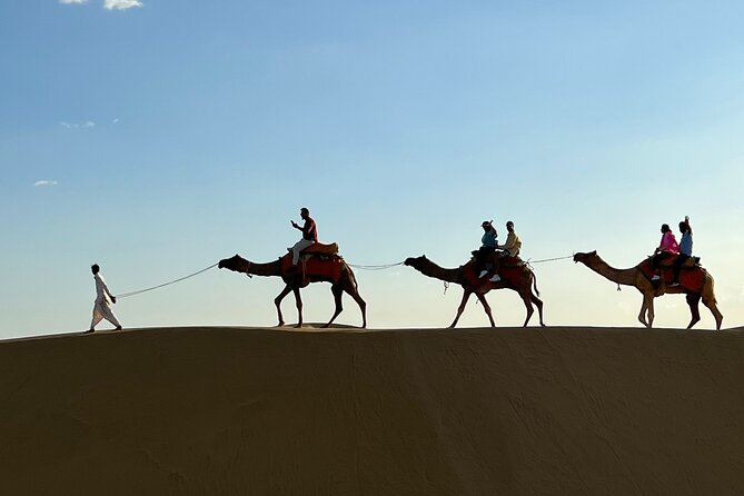 Overnight Camel Safari in Thar Desert - Traveler Reviews and Ratings