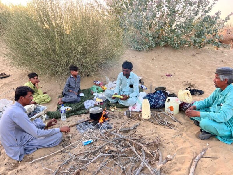 Overnight Camel Safari Non Touristic Deep Desert - Itinerary and Experience