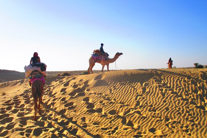 Overnight Camel Safari - Sleeping Under the Stars - Inclusions and Amenities