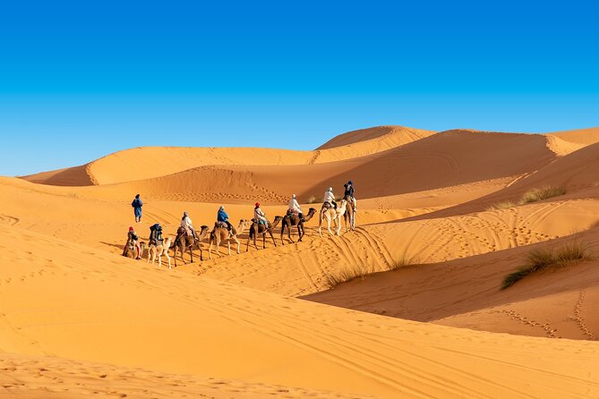 Overnight Camel Trek in Merzouga Dunes - Inclusions in the Package