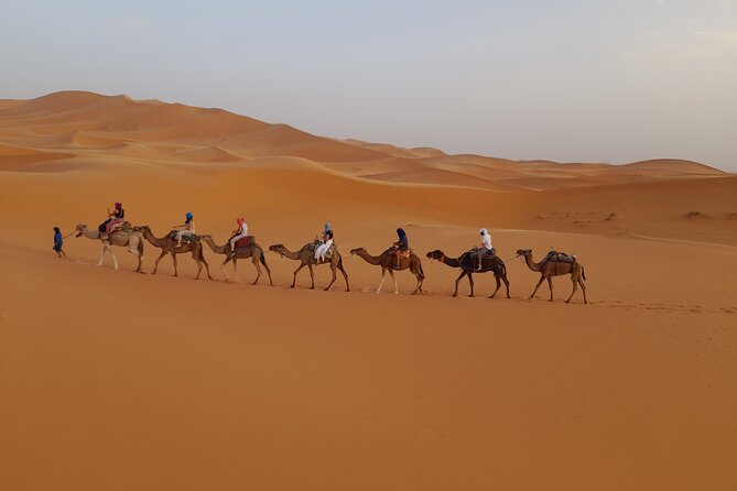 Overnight Camel Trek in Merzouga Dunes - Confirmation and Booking Process