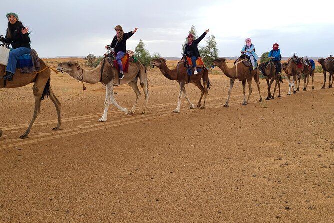 Overnight Camel Trek in Merzouga Dunes - Group Size Limitations
