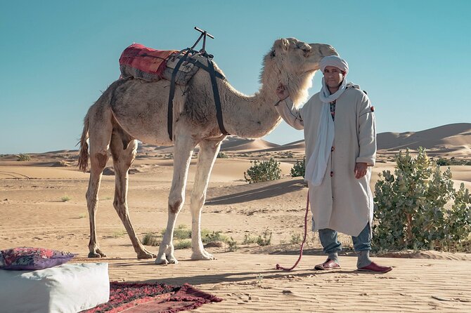 Overnight Camel Trekking in Merzouga - Inclusions