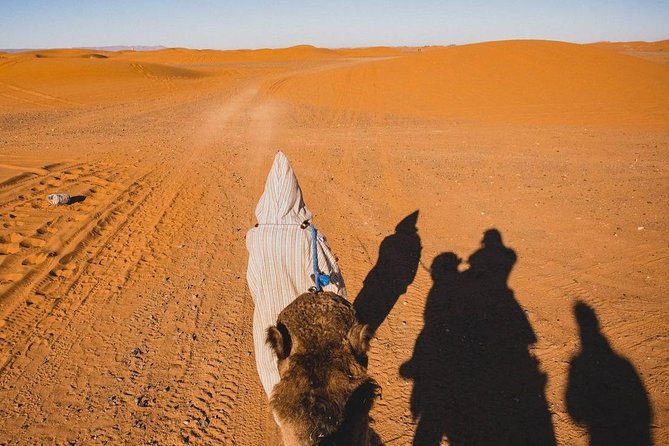 Overnight Camel Trekking in Merzouga - Accessibility and Participation