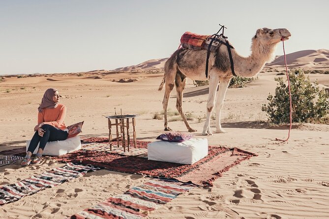 Overnight Camel Trekking in Merzouga - Highlights of the Experience