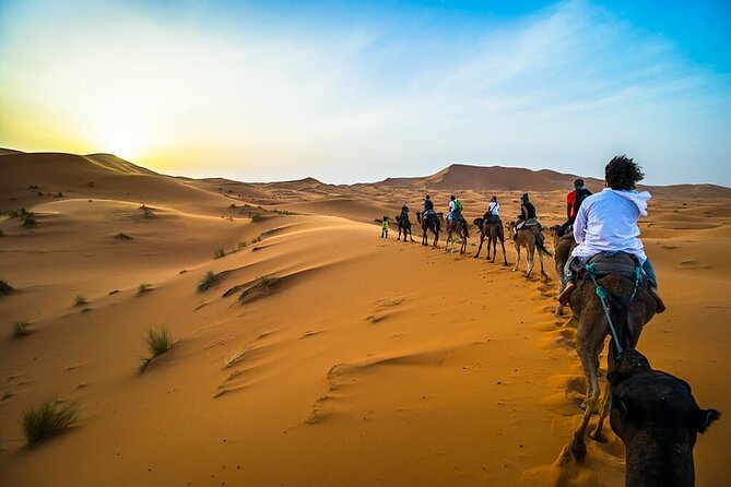 Overnight Camel Trekking Merzouga Desert - Inclusions