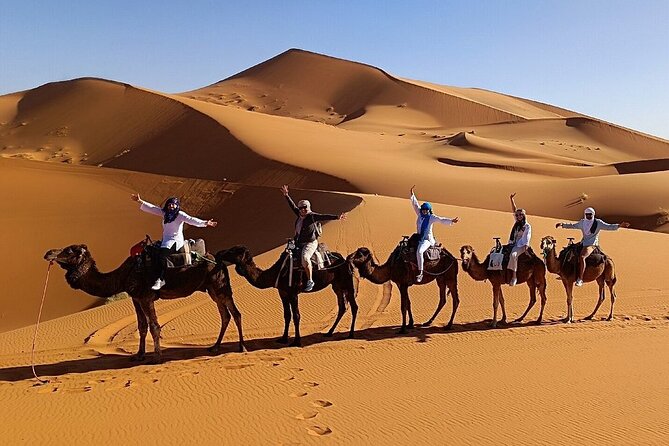 Overnight Camel Trekking Merzouga Desert - Morning Camel Ride
