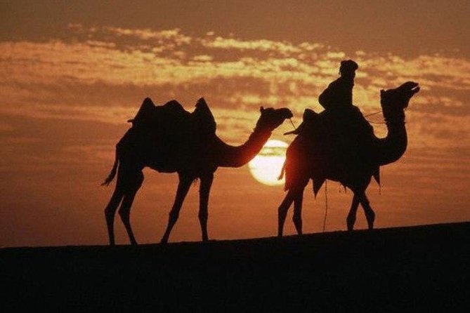 Overnight Camping With Camel Safari In Jaisalmer - Traditional Rajasthani Cuisine