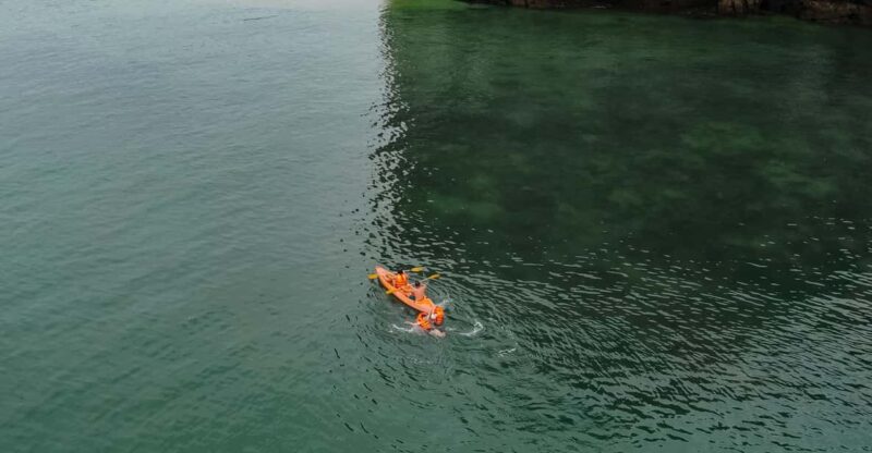 Overnight Cruise in Lan Ha Bay - 2 Days 1 Night Discovery - Accommodations and Onboard Amenities